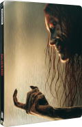 evil-dead-rise-studiocanal-4kuhd-steelbook-cover.png