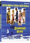 diamond-head-imprint-bd-hidef-digest-cover.jpg