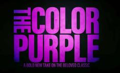 the-color-purple.jpg