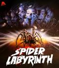 the-spider-labyrinth-bd-hidef-digest-cover.jpg