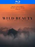 wild-beauty-mustang-spirit-of-the-west-blu-ray-highdef-digest-distorted-cover.jpg