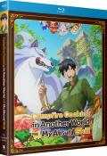 campfire-cooking-in-another-world-with-my-absurd-skill-blu-ray-crunchyroll-highdef-digest-cover.jpg