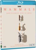 Mammals-bd-hidef-digest-cover.jpg