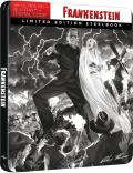 frankenstein-4k-steelbook-universal-pictures-highdef-digest-cover.jpg