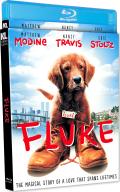 fluke-kino-lorber-blu-ray-highdef-digest-cover.jpg