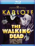 The-Walking-Dead-1936-bd-hidef-digest-cover.jpg