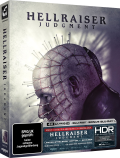 hellraiser-judgement-turbine-medien-4kuhd-steelbook-slipcover-d.png