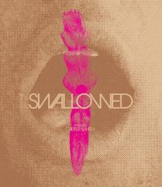 swallowed-yelloveil-ocn-distribution-bluray-review-highdef-digest-cover.jpg