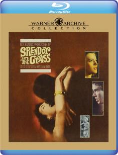 splendor-in-the-grass-blu-ray-warner-bros-highdef-digest-cover.jpg