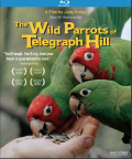 The-Wild-Parrots-of-Telegraph-Hill-bd-hidef-digest-cover.png