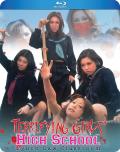 terrifying-girls-high-school-lynch-law-classroom-blu-ray-highdef-digest-cover.jpg