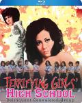 terrifying-girls-high-school-delinquent-convulsion-group-blu-ray-highdef-digest-cover.jpg