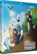 no-longer-allowed-in-another-world-s1-blu-ray-crunchyroll-highdef-digest-cover.jpg