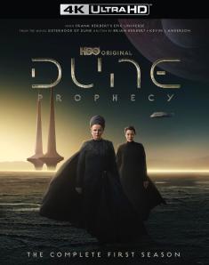 dune-prophecy-season-one-4kuhd-review-cover.jpg