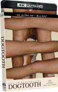dogtooth-4k-kino-lorber-highdef-digest-cover.jpg
