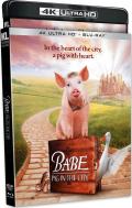 babe-pig-in-the-city-4k-kino-lorber-highdef-digest-cover.jpg