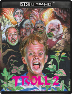 troll-2-vinegar-syndrome-4kuhd-review-cover.png