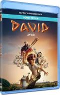 David-bd-hidef-digest-cover.jpg