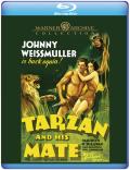 Tarzan-and-his-Mate-bd-hidef-digest-cover.jpg