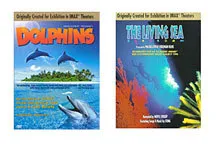 dolphins living sea