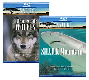 In the Valley of Wolves, Shark Mountain [Blu-ray Box Art]