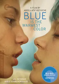 Blue Is the Warmest Color Blu ray Review High Def Digest