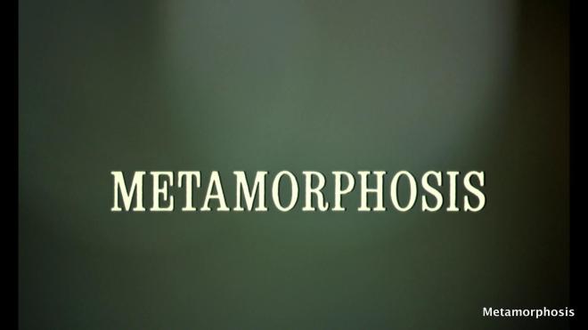 Metamorphosis / Beyond Darkness