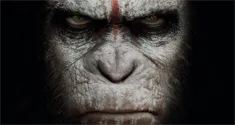 apes 4k news