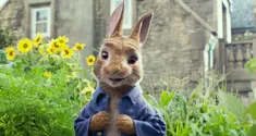 peter rabbit news