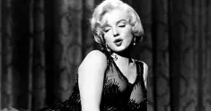 some like it hot news