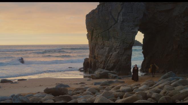 Portrait Of A Lady On Fire Fireplace