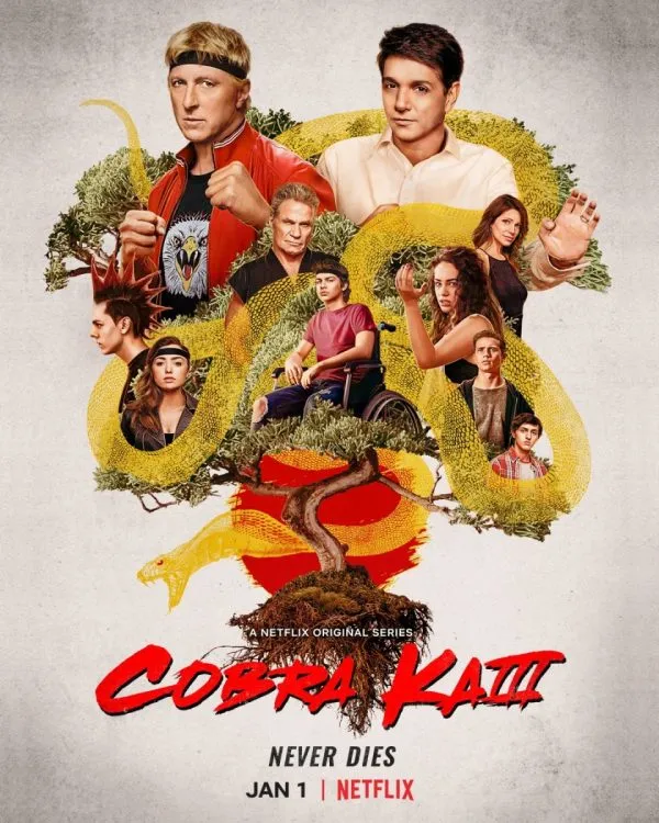 cobra kai season 3 poster