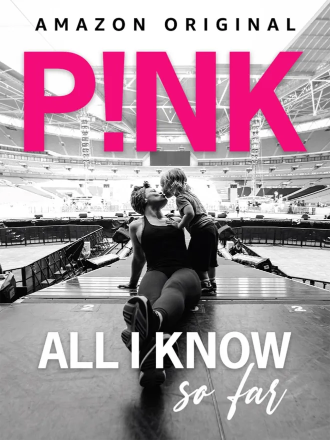 pink concert poster