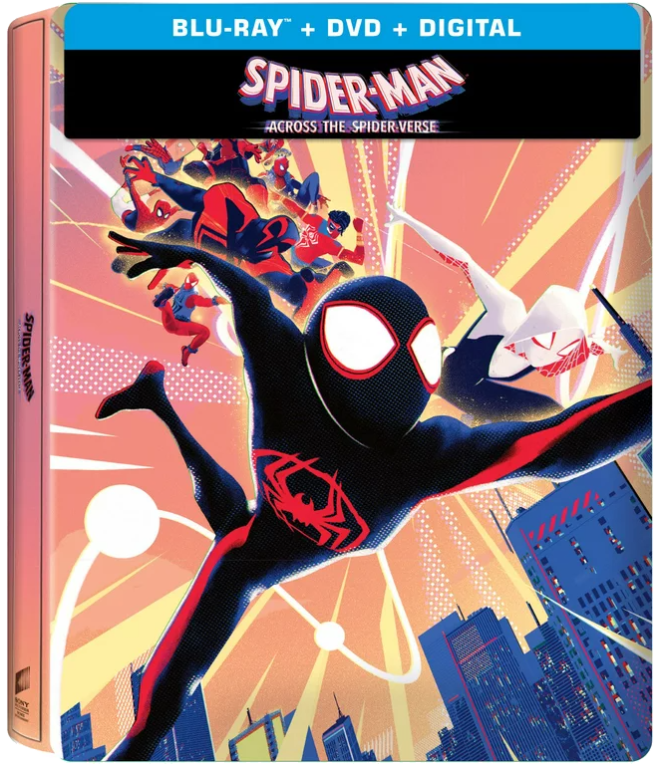  Spider-Man: Across the Spider-Verse / Spider-Man: Into the  Spider-Verse - Multi-Feature (2 Disc) - DVD + Digital : Shameik Moore, Jake  Johnson, Hailee Steinfeld, Bob Persichetti, Joaquim Dos Santos: Movies 