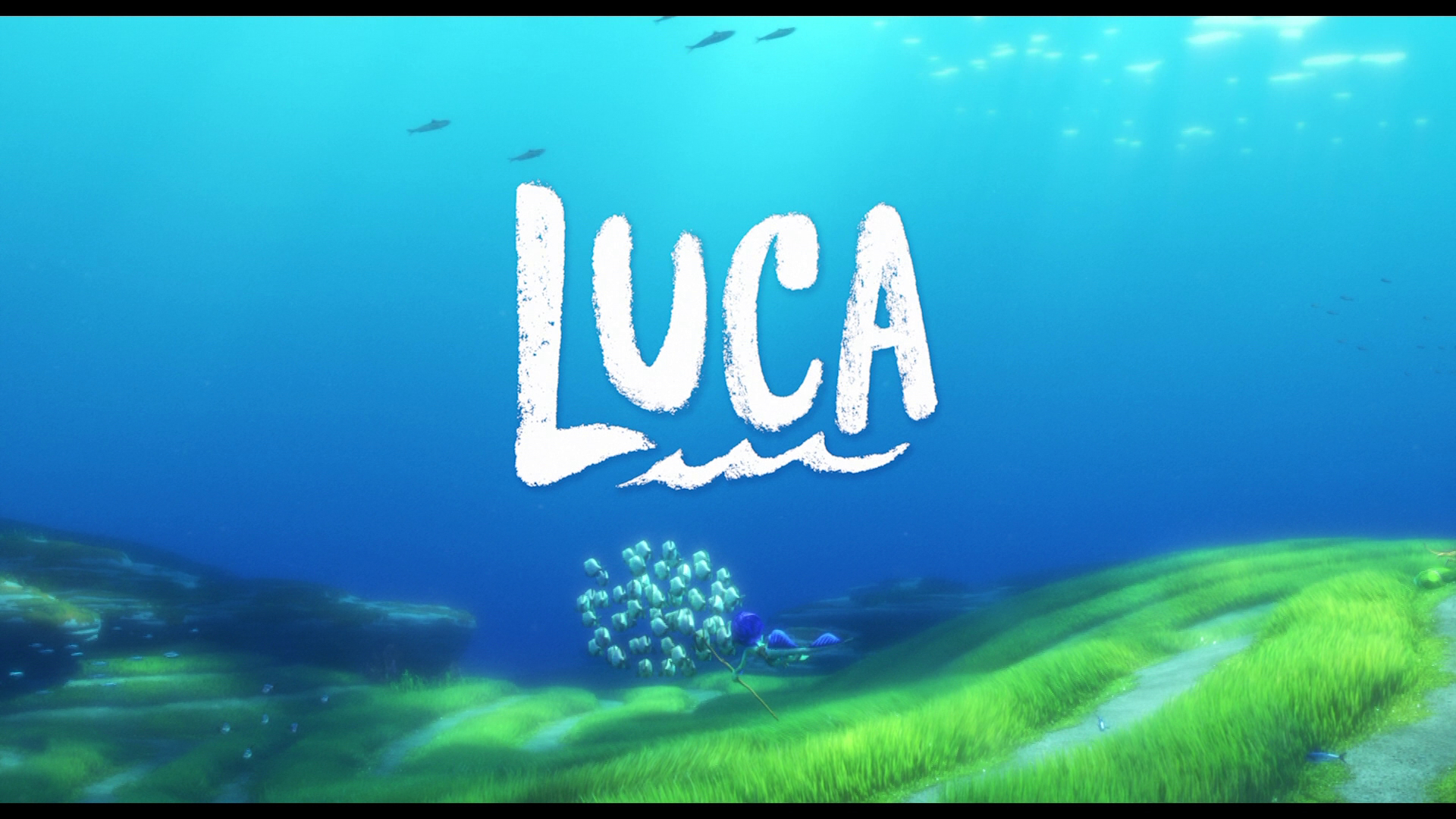 Movie Luca 4k Ultra HD Wallpaper
