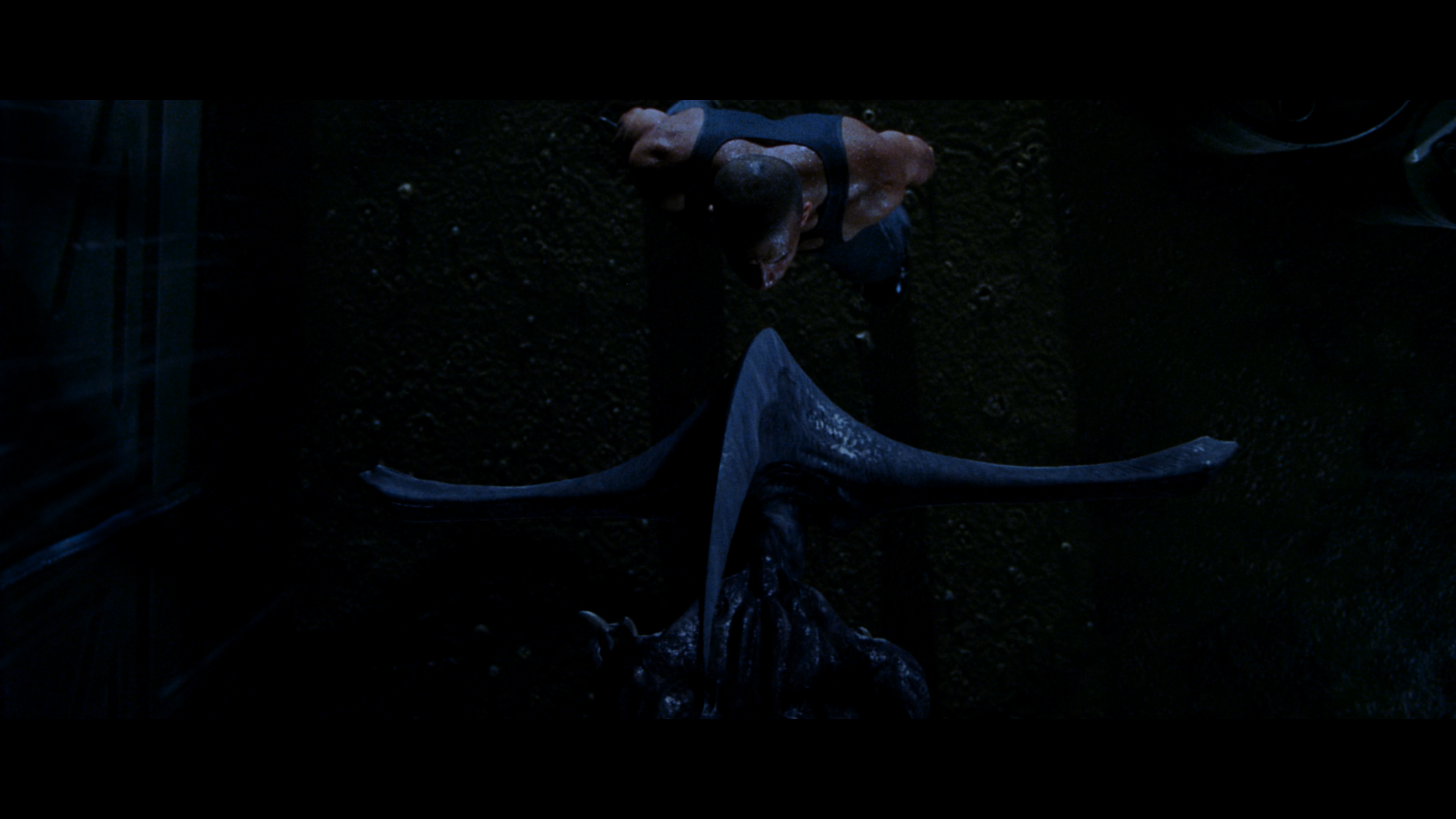 HD wallpaper: Movie, The Chronicles of Riddick: Dark Fury, Vin Diesel |  Wallpaper Flare
